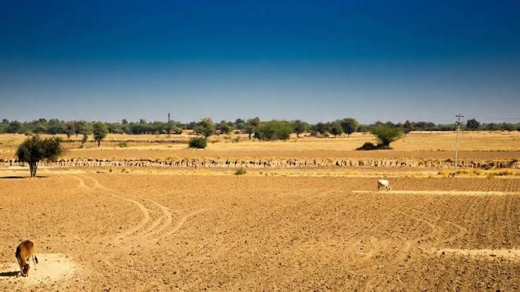 Rajasthan declares 80 tehsils in 14 districts drought-affected